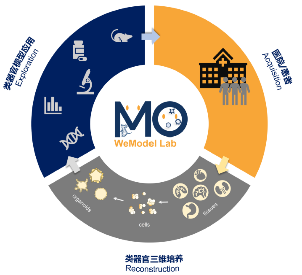 Disease Modeling Lab